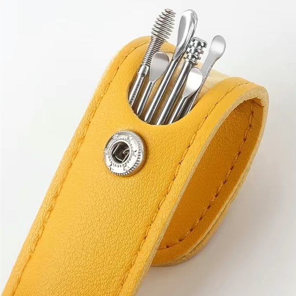 6 Piece Ear Cleaning Kit Stainless Steel in Carrying Case - Picture 1 of 7
